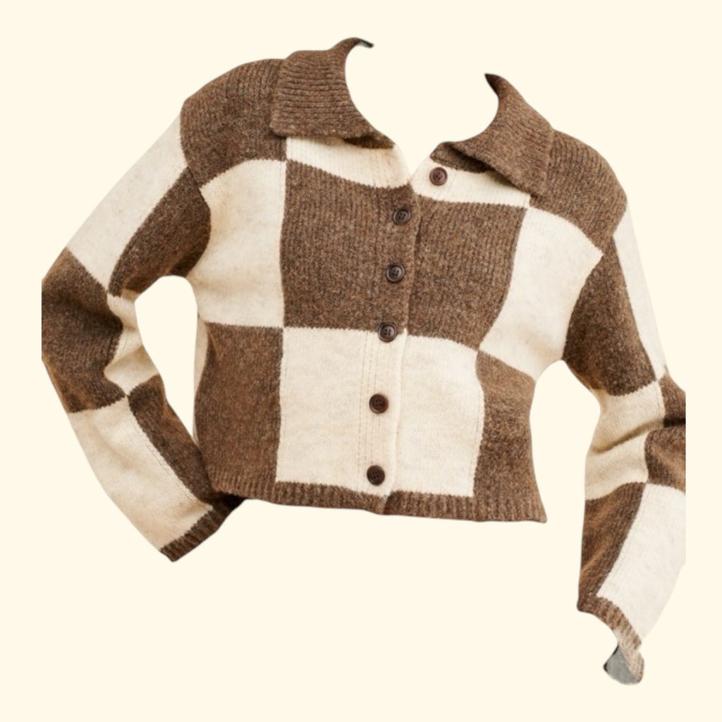 Moon River Collared Checkered Sweater
