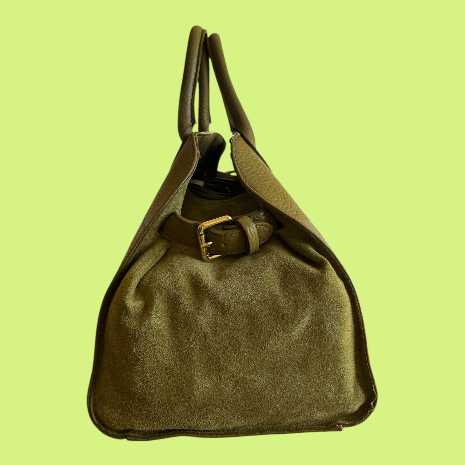 Anna Paola Italian Leather & Suede Olive Green Bag
